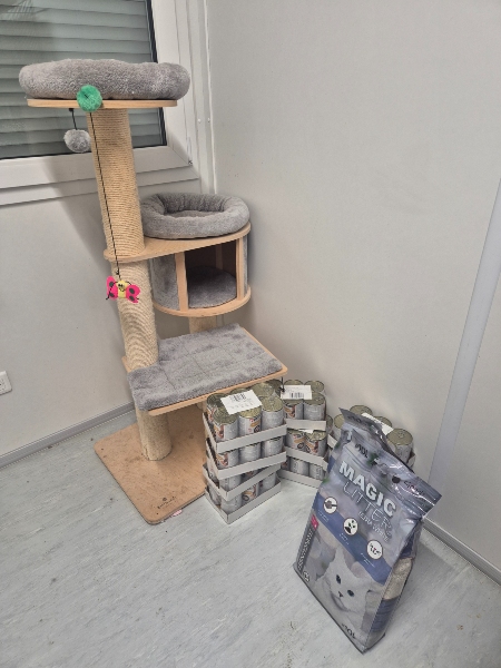 Lázeňské kočky z.s.